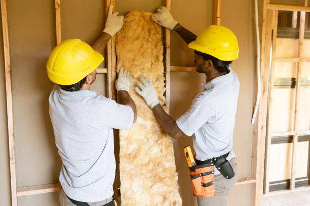 Best Attic Insulation Installation  in Arche, OK