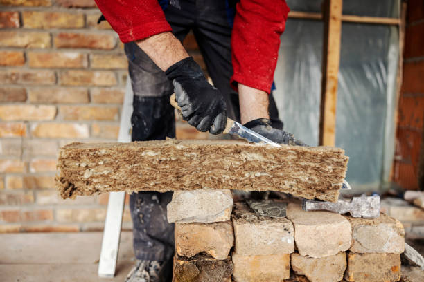 Best Insulation Contractor Near Me  in Arche, OK