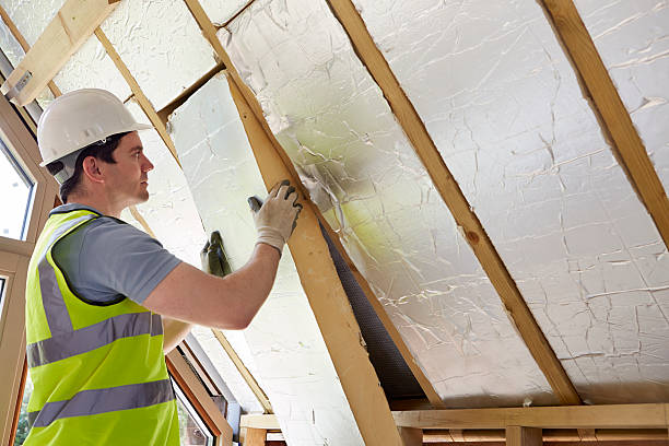 Best Insulation Replacement Services  in Arche, OK