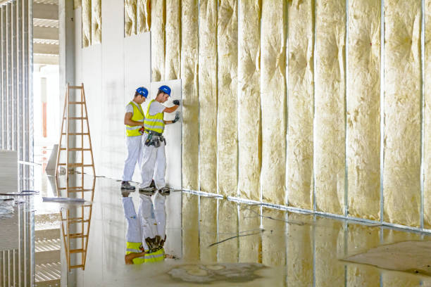 Best Residential Insulation Services  in Arche, OK